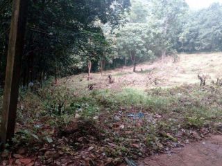 Plot for sale in Chellakadu,Ranni