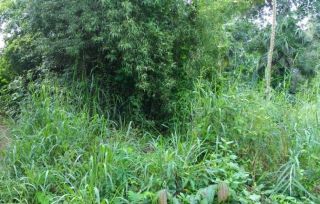 5cent commercial land for sale in puzhakkal