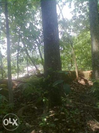 64 cents of square residential plot with 1200 sq ft house.