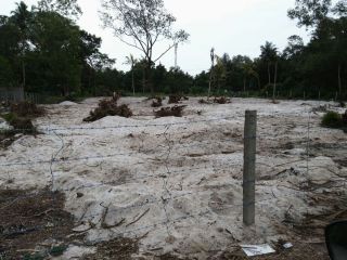 30 cents of land @Bernad junction,kalavoor,Alappuzha.