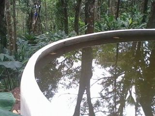 1.5 Acres at Cumbummettu near Thekkady