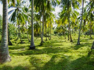 plot for sale in kozhikde district.roadside suitable for residential,industry,agriculture