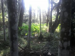 39 and half cent land in chemenchery,kozhikode