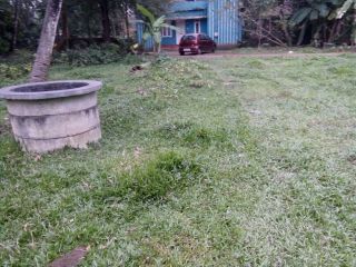 Near to container road , square plot .