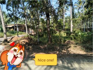 12 cents of land in mokeri, panoor