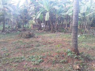 LAND NEAR MAVOOR ROAD KOZHIKODE