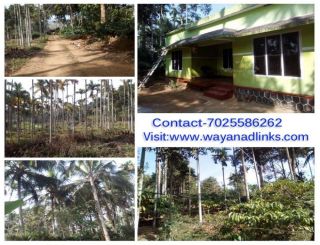 1 Acre agricultural land with house for sale at Wayanad
