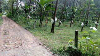 Residential land for sale near vazhoor ,kottayam
