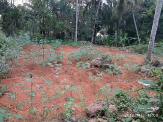 15 sents of plot behind R T O ground