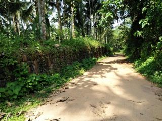 18 cent of plane land for sale in thamarassery