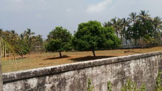 RESIDENTIAL LAND FOR SAlE IN MULANKUNNATHUKKAVU