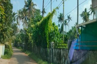Resiendial land for sale in Kodaly, Kodakkara