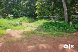 Residential land for sale in kuttoor,near Naithalakkavu Temple,Thrissur