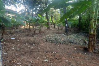 Residential land for sale in Kolazhy, Thrissur.