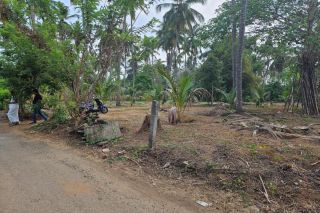 Residential land for sale in mannuthy,  near main road, Thrissur