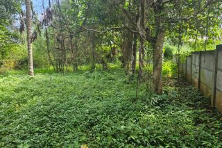 Residential land for sale in peramangalam, thrissur