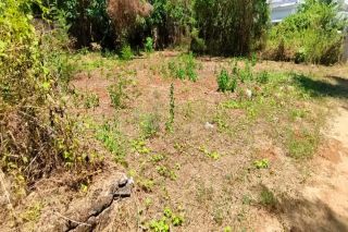 Residential Land for sale in Poochatty, Nadathara Thrissur.