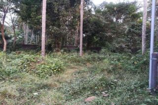 Land for sale in patturaickal, Thrissur