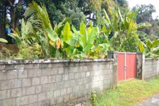 Residential land for sale in Viyyur,Thrissur.