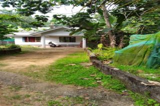 10 cent With house in kuruppampady vengoor Ernakulam