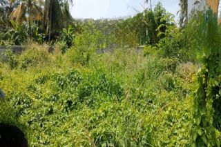 Commerical Plots-9,10,30 cent for sale near Vadakke Bus stand,Thrissur.