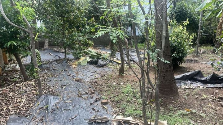 Prime residential land available for sale in Kuttanellur, Near Hilite Mall, Thrissur.