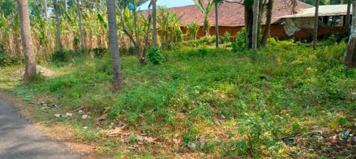 Residential Land-9 cent for Sale – Kuttanellur-padavarad, Thrissur