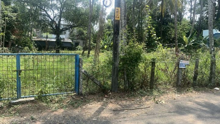 Residential Land-22 cent for Sale in Kuttanellur , Thrissur