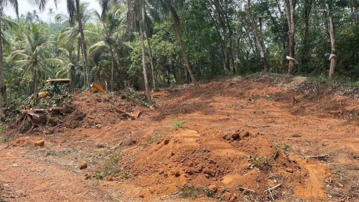 Plot At Mattannur, Kannur