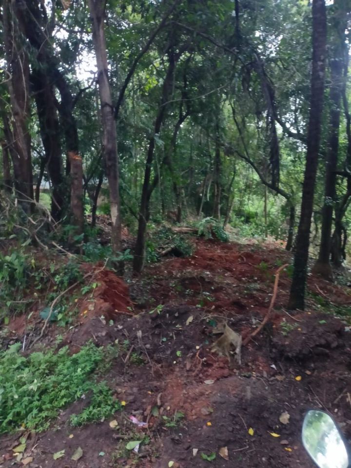 Good plot for buliding house or cottage