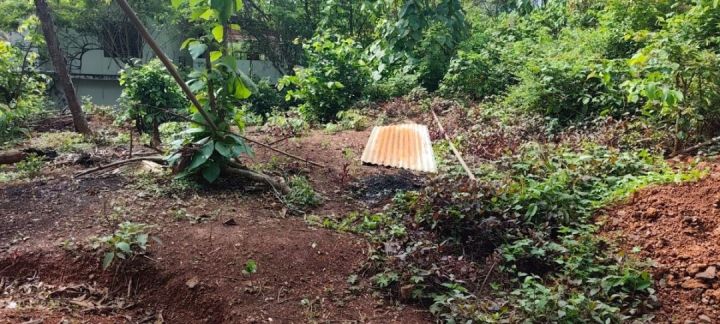 Prime 16 Cent Residential Plot for Sale – Excellent Location | ₹7,00,000 per Cent
