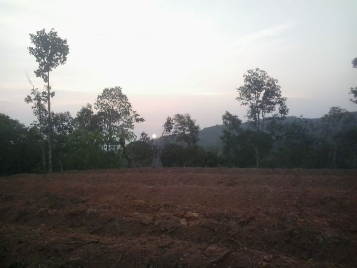 4.08 Acre Land Area at Kottarakkara, Kollam