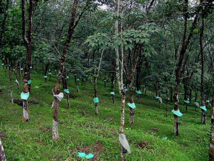 2acre land for urgent sale nr chengannur