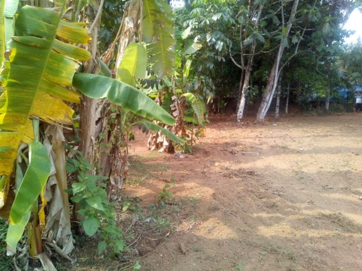 Residential land for sale in nedumbassery