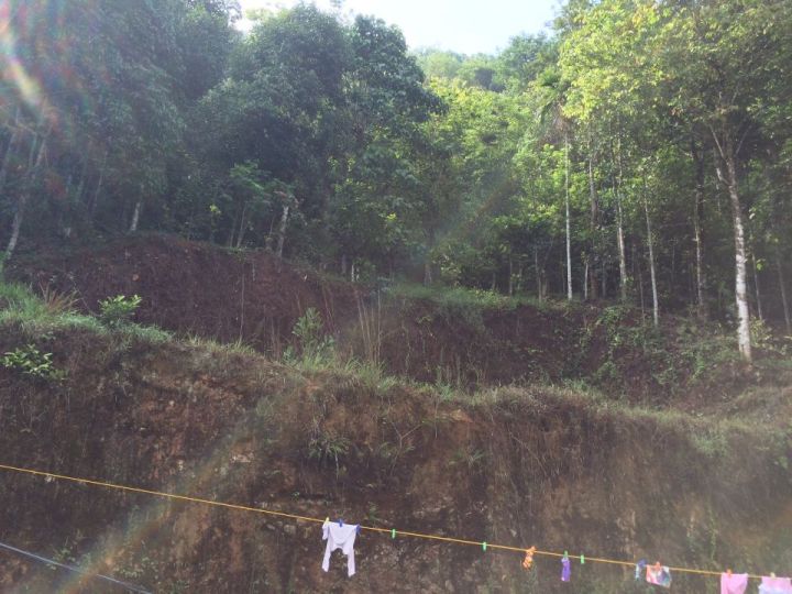 84 cents land for sale in munnar Thokkupara