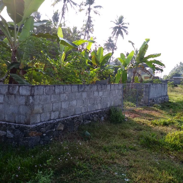 6 cent of land in karukutty