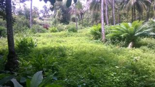 10 cent of land in manjeri, mallapuram