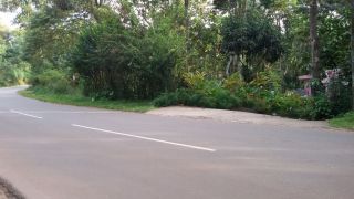 15 cents in road side....