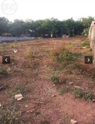 18.5 cent open land for sale pukkattupady ernakulam ..