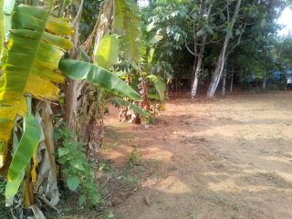 Residential land for sale in nedumbassery