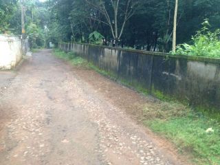 50 cent land at angamaly.