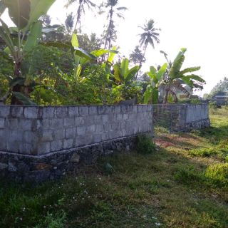 6 cent of land in karukutty