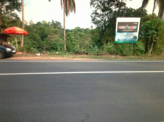 LAND SUITABLE for ANY PURPOSE on NH 212 - BEENACHI -WAYANAD