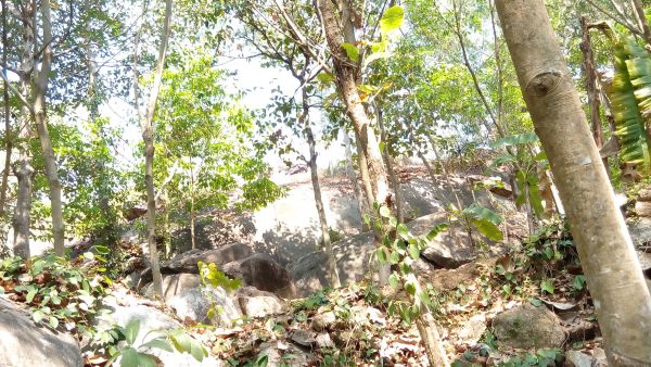 10 aker of rock hill in trivandrum.neyyattinkara