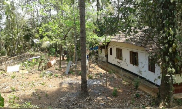 29 cent of Property in Kozhikode
