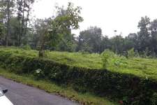 36 cent land in karimannoor thodupuzha