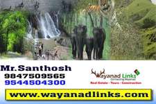 29 cent land near to karapuzha village resort-wayanadlinks