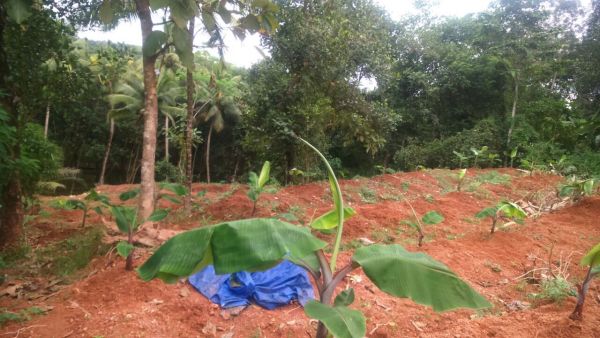 38.5 cents of land for sale at Edaikkidom,  Ezhukone,  Kollam