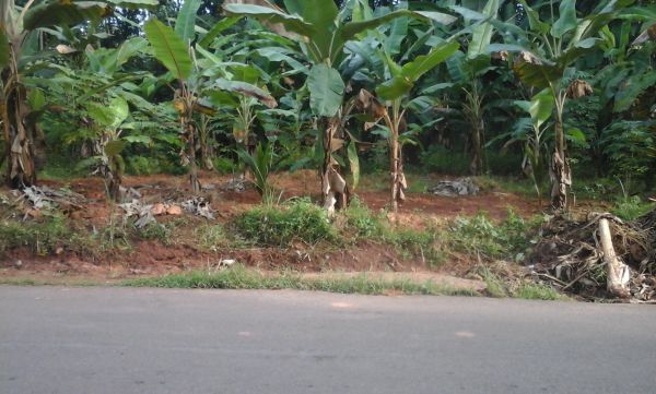 10 cent road frontage plot at kottarakar