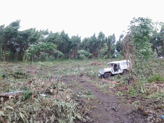 5.45 acre land best for resort, farmhouse, engineering college in Munnar